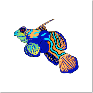 Mandarinfish cartoon illustration Posters and Art